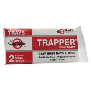 TRAPPER GLUE BOARD - BOLSA X 2 BANDEJAS (PARA RATA)