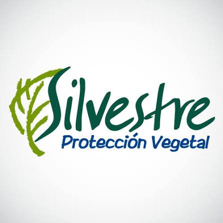 Silvestre